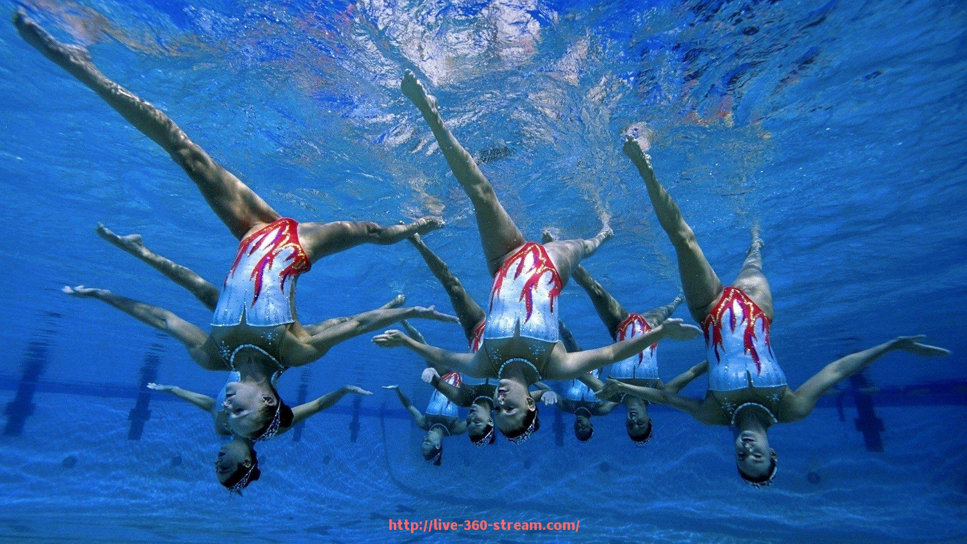 360直播-宁波健身器材哑铃球产品特色与价格行情